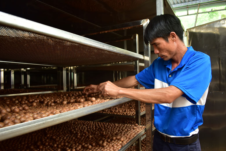 Kỳ công trồng cây ra trái ví như &quot;nữ hoàng quả khô&quot;, bán sang Tây, doanh nghiệp, nông dân Lâm Đồng đều có lời - Ảnh 1.