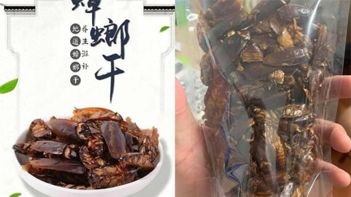 Khó tin nhưng có thật: Gián nấu thành món đặc sản ở Trung Quốc - Ảnh 2.