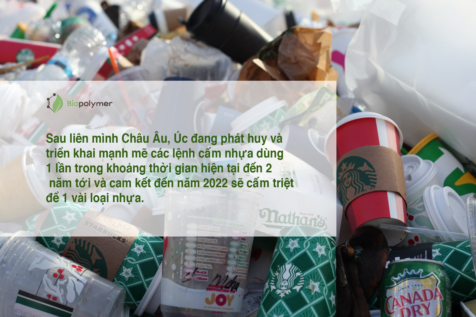 Xuất khẩu mặt hàng nhựa phù hợp của Việt Nam vào thị trường Úc sẽ "bùng nổ" - Ảnh 1. Xuất khẩu mặt hàng nhựa phù hợp của Việt Nam vào thị trường Úc sẽ "bùng nổ" - Ảnh 1.