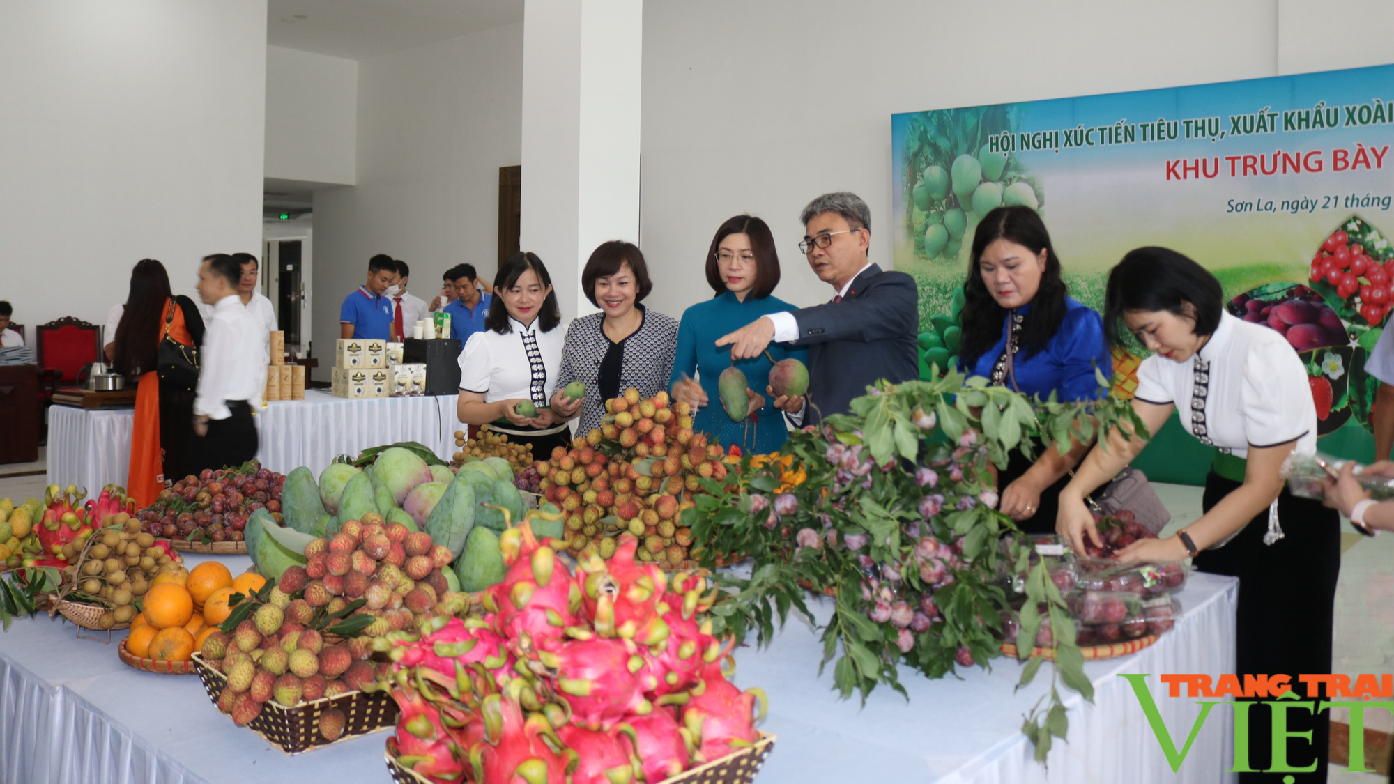 Sơn La: Tạo cơ hội cho các doanh nghiệp nước ngoài ký kết hợp đồng tiêu thụ xoài và nông sản - Ảnh 6.