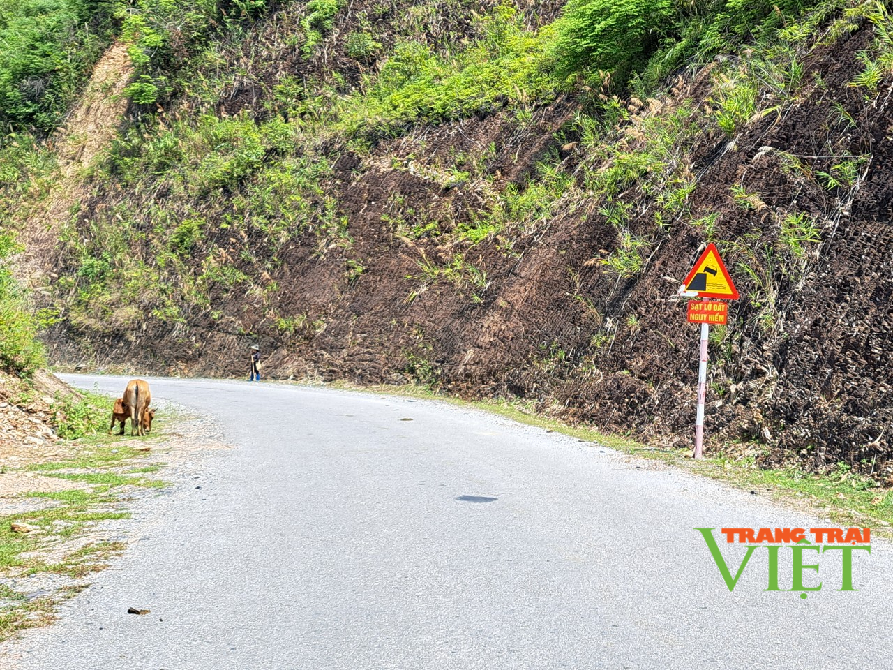 Sơn La: Đảm bảo giao thông thông suốt trong mùa mưa lũ - Ảnh 4.