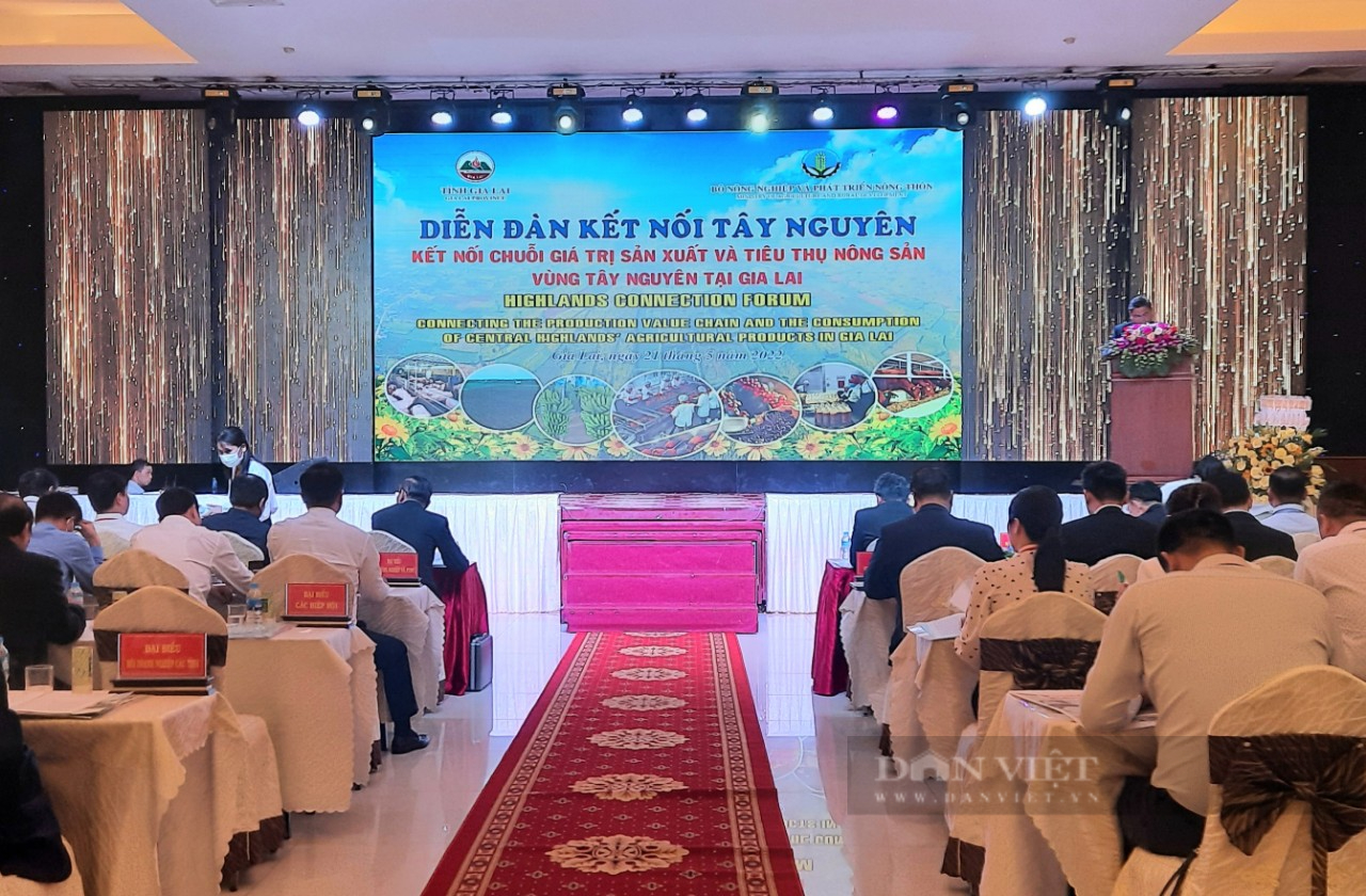 Bộ NN&PTNT sẽ hỗ trợ doanh nghiệp tạo ra chuỗi giá trị liên kết từ sản xuất tiêu thụ đến nông sản - Ảnh 1.