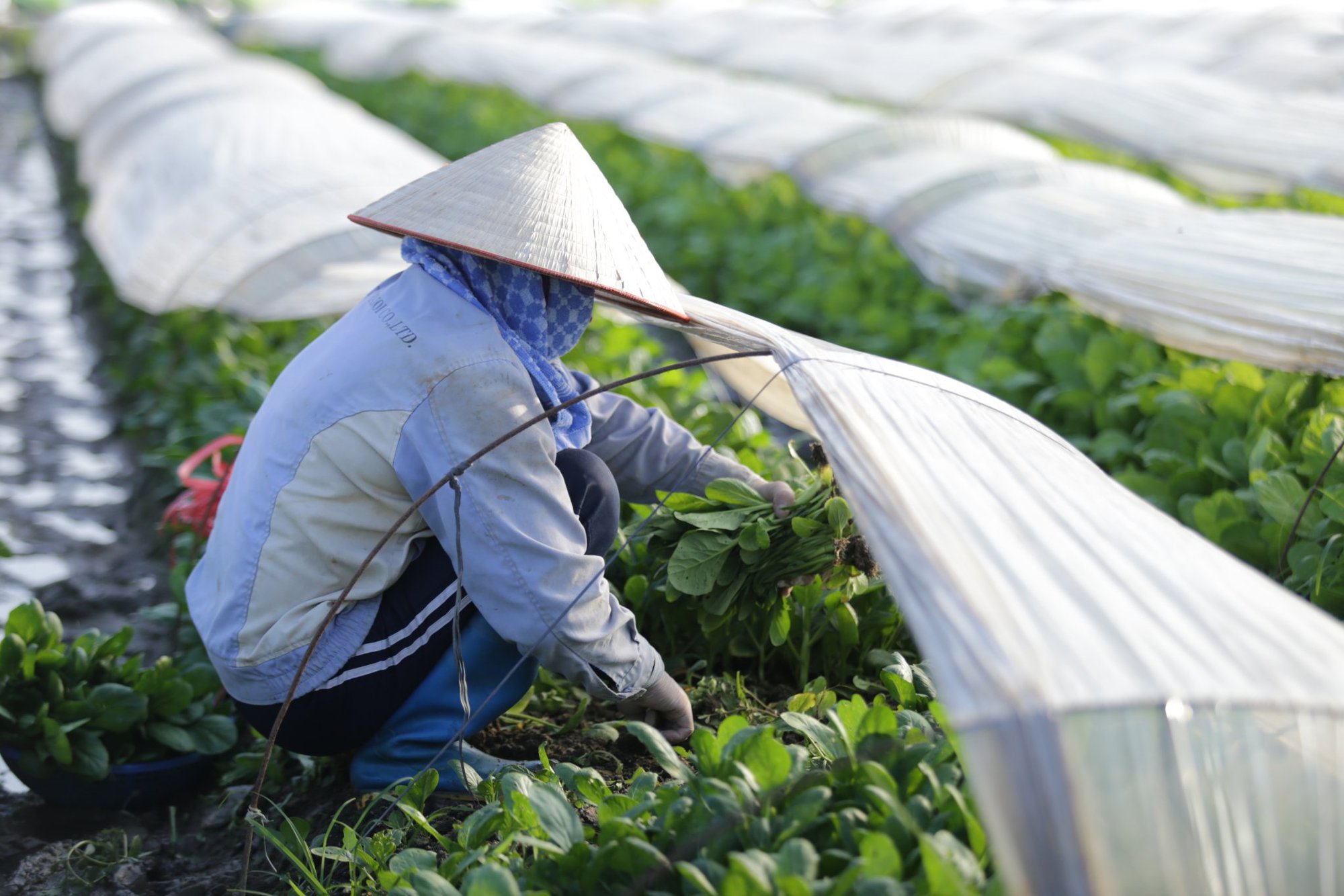 Chứng khoán &quot;nhảy số&quot;, &quot;nóng&quot; thao túng giá cổ phiếu: Chính phủ đề cập thế nào trong báo cáo gửi Quốc hội? - Ảnh 4.