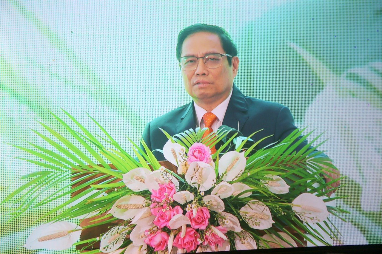 Gia Lai: Hàng loạt doanh nghiệp mạnh tay rót 15.000 tỷ đồng đầu tư vào nông nghiệp - Ảnh 5.