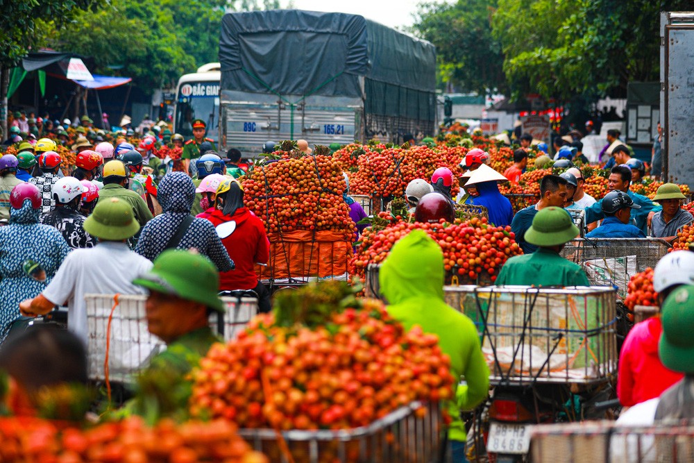 Mở rộng đường xuất khẩu cho trái vải thiều - Ảnh 2.
