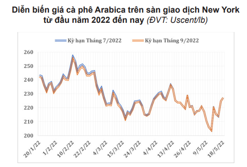 Đà phục hồi của giá cà phê đang bị &quot;đe dọa&quot; - Ảnh 3.