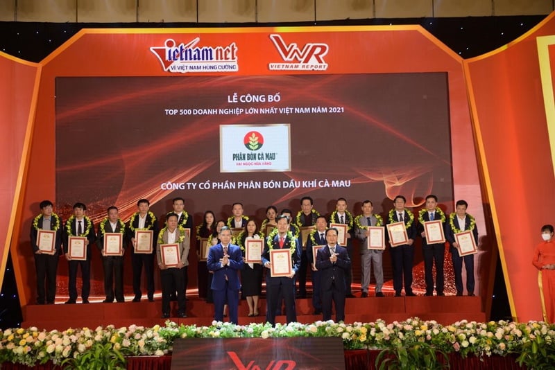 Lợi thế từ thị trường, Phân bón Cà Mau (DCM) vượt chỉ tiêu kế hoạch quý I - Ảnh 1.