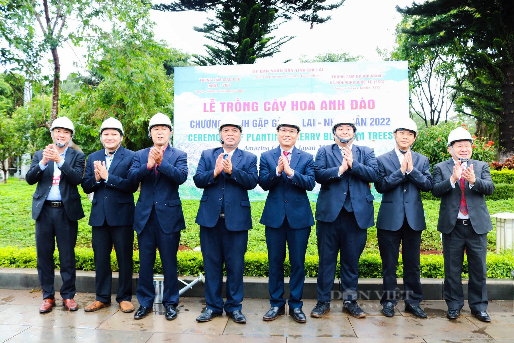 Gia Lai: Tiếp nhận và trồng 24 cây hoa anh đào do Nhật Bản tặng - Ảnh 2.