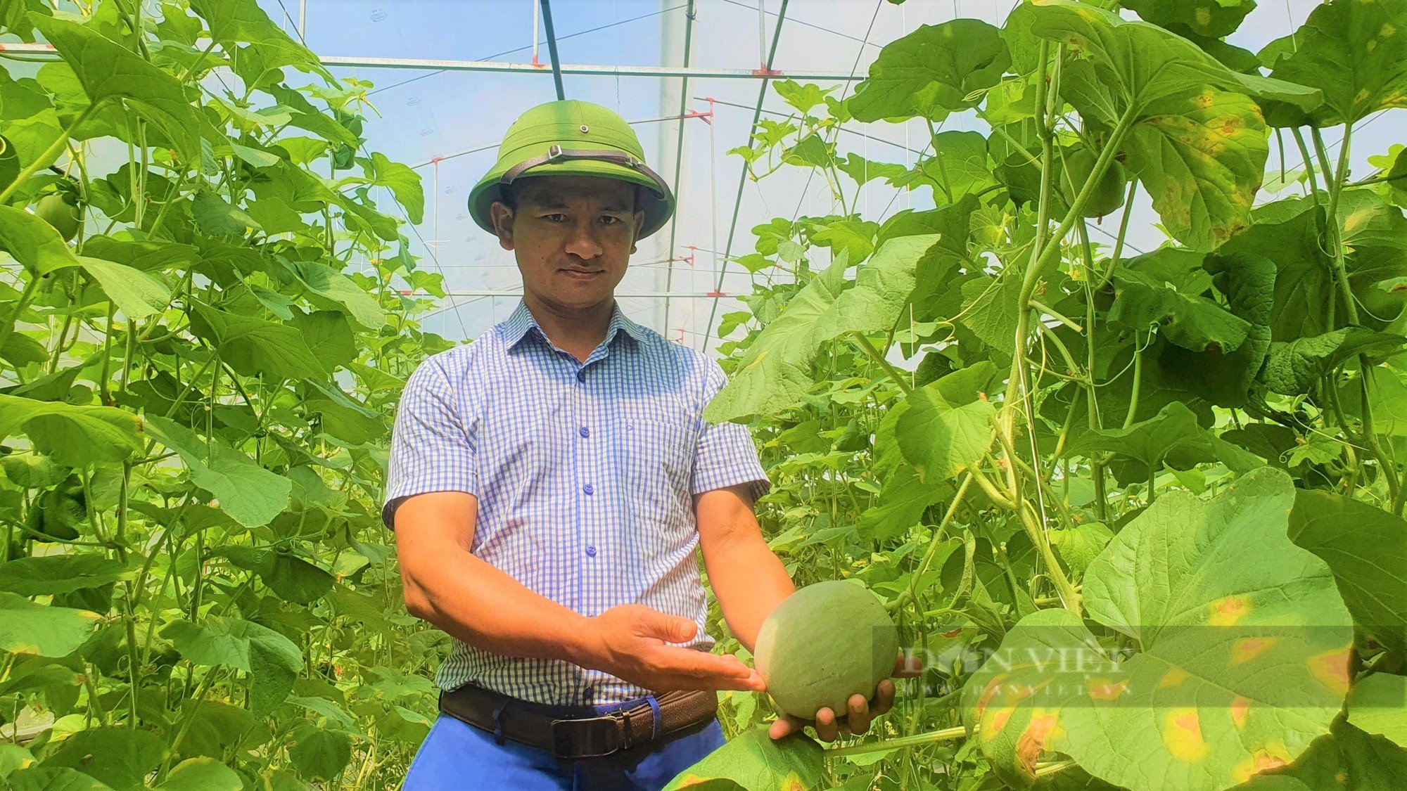 Hà Tĩnh: Cả chục nghìn đất bỏ hoang, nông dân Hà Tĩnh biến thành trang trại dưa lưới, thu tiền tỷ mỗi năm. - Ảnh 2.