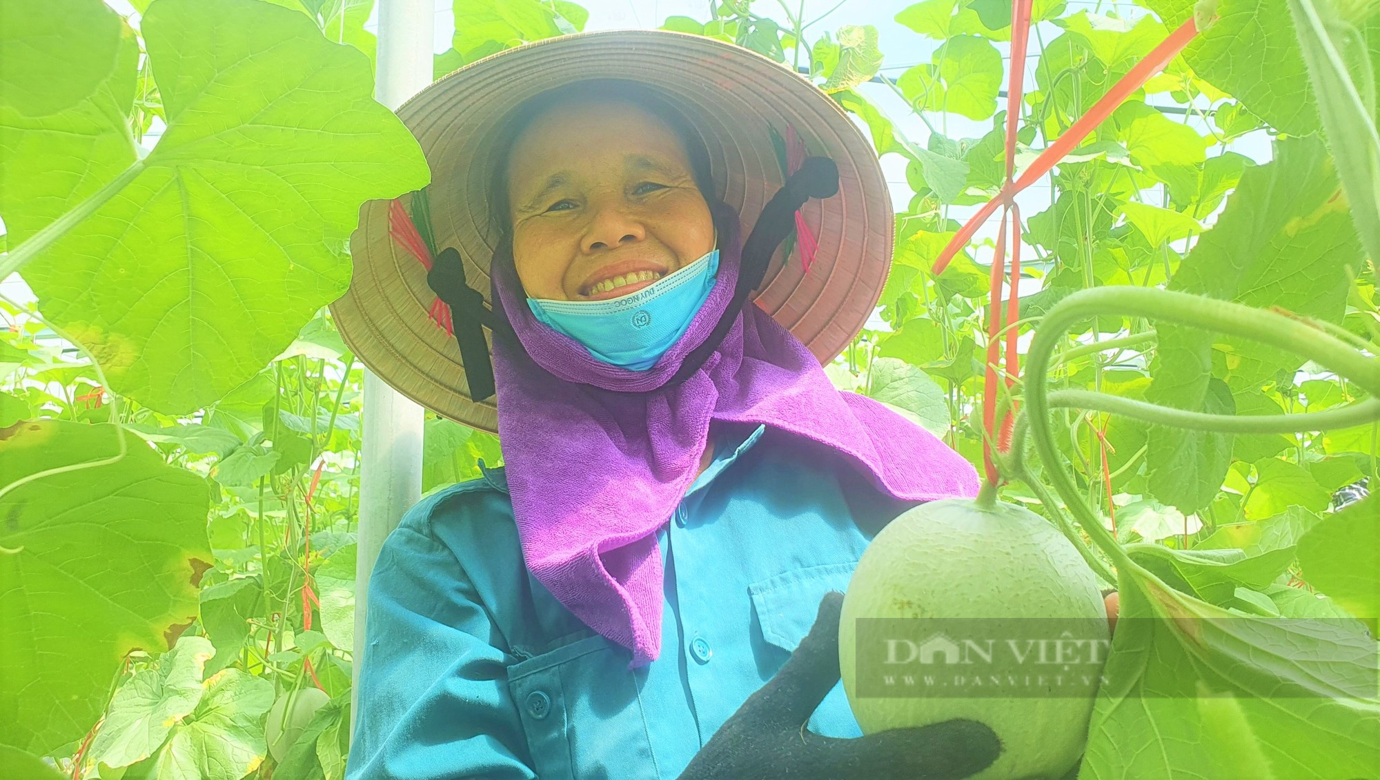 Hà Tĩnh: Cả chục nghìn đất bỏ hoang, nông dân Hà Tĩnh biến thành trang trại dưa lưới, thu tiền tỷ mỗi năm. - Ảnh 4.