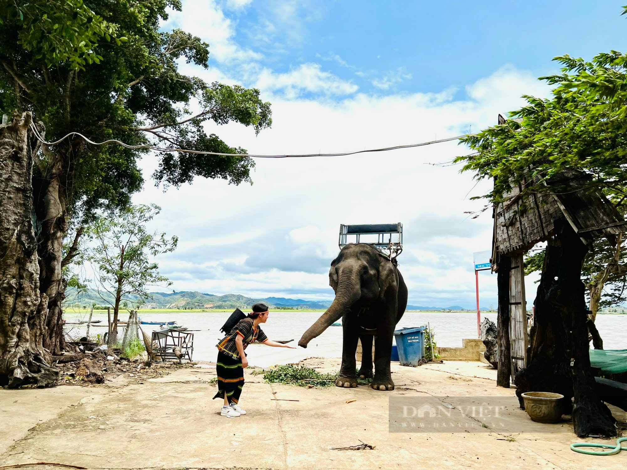 Phát triển thương hiệu thành phố Buôn Ma Thuột trở thành &quot;Thành phố cà phê của thế giới&quot; - Ảnh 1.