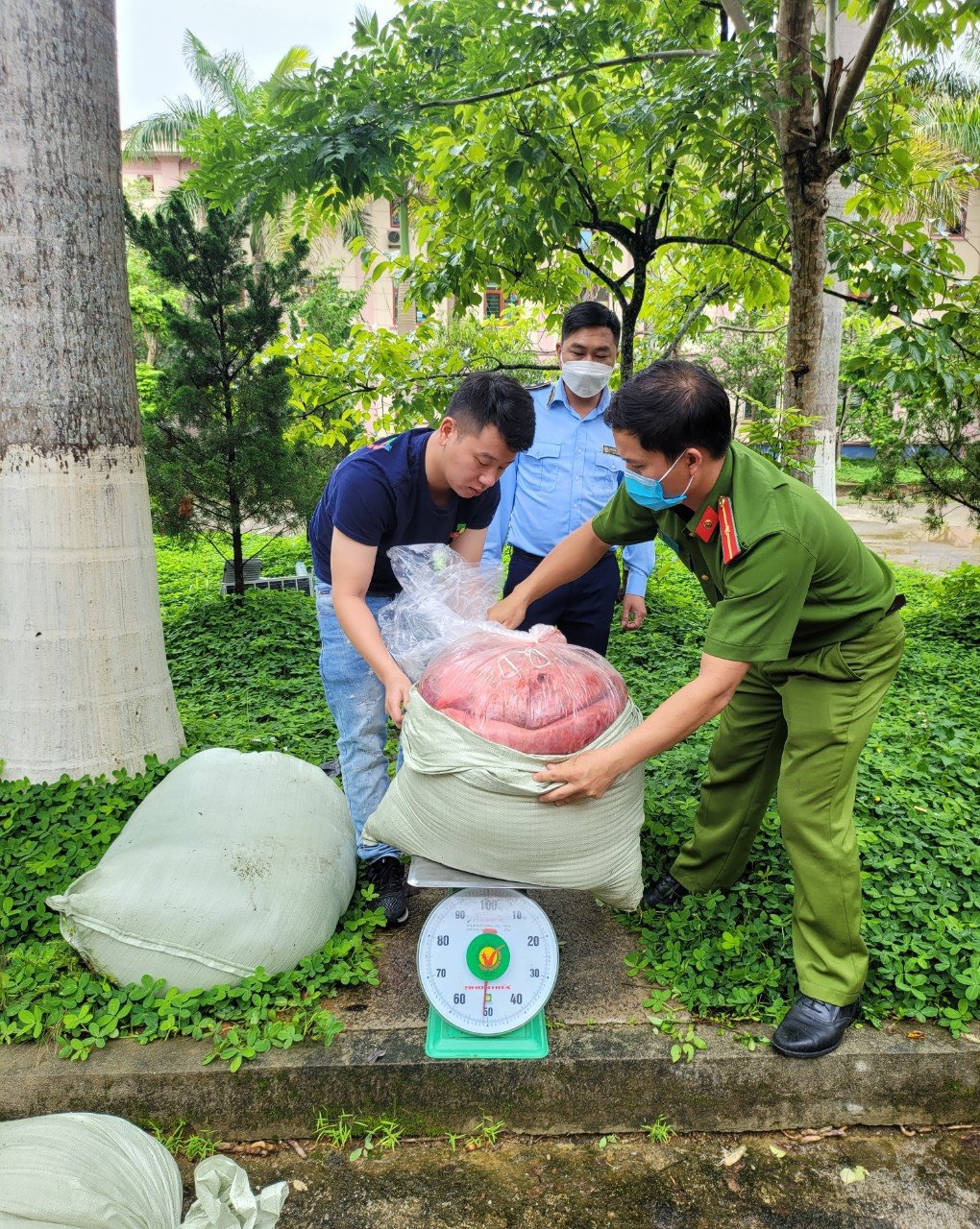 Ngăn chặn hàng trăm kg nội tạng trâu, bò bốc mùi thối trên địa bàn Lai Châu - Ảnh 1.