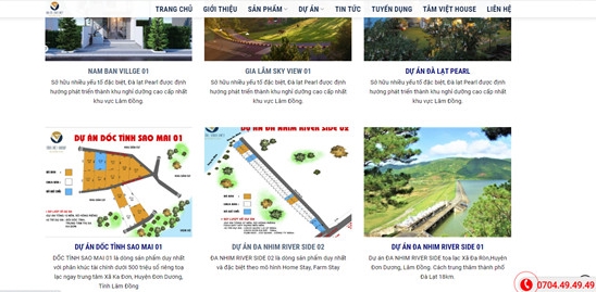 Lâm Đồng: Hàng trăm triệu đồng xử phạt cá nhân, tổ chức rao bán bất động sản sai quy định - Ảnh 1.