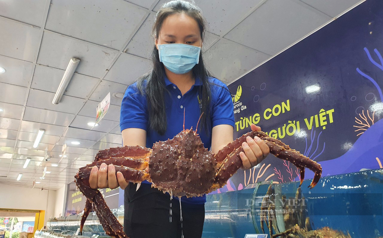 Tôm hùm Alaska, cua hoàng đế giảm giá sốc, vì sao? - Ảnh 2.