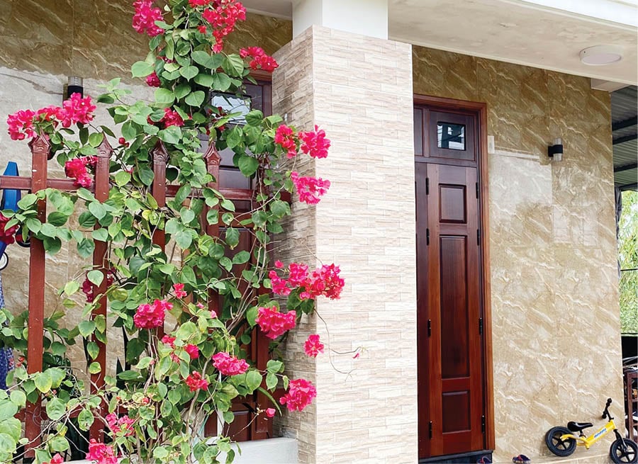Trồng cây cảnh này ở cổng nhà, sau những ngày mưa to, hoa vẫn nở thi nhau khoe sắc - Ảnh 1.