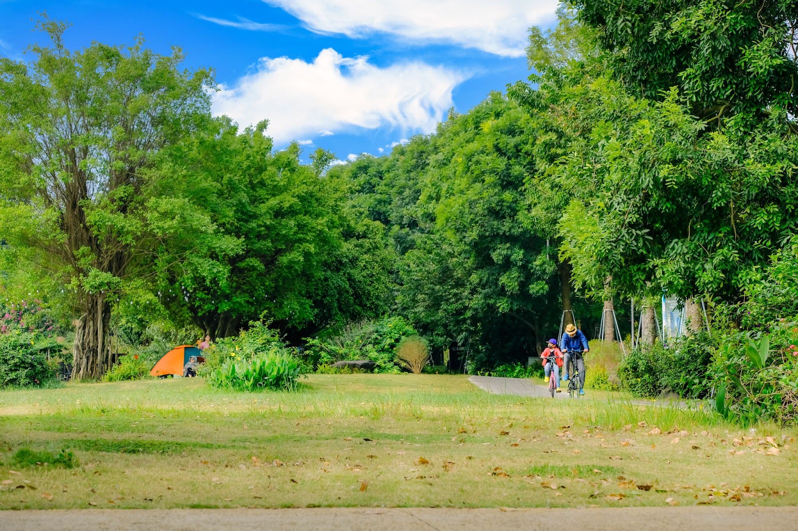 Trẻ con Ecopark có tuổi thơ của “thời ông bà, cha mẹ” - Ảnh 2.
