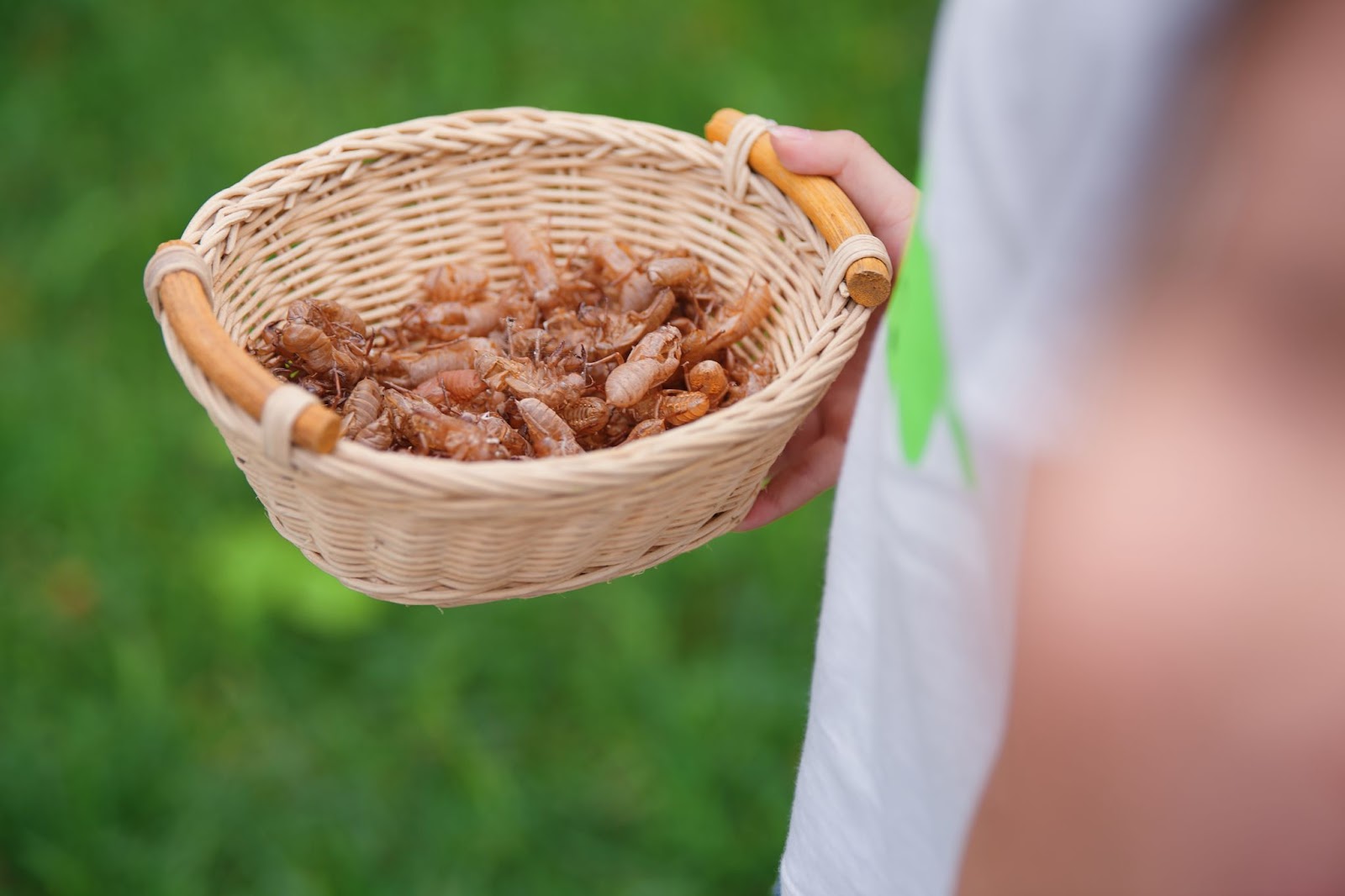 Trẻ con Ecopark có tuổi thơ của “thời ông bà, cha mẹ” - Ảnh 7.
