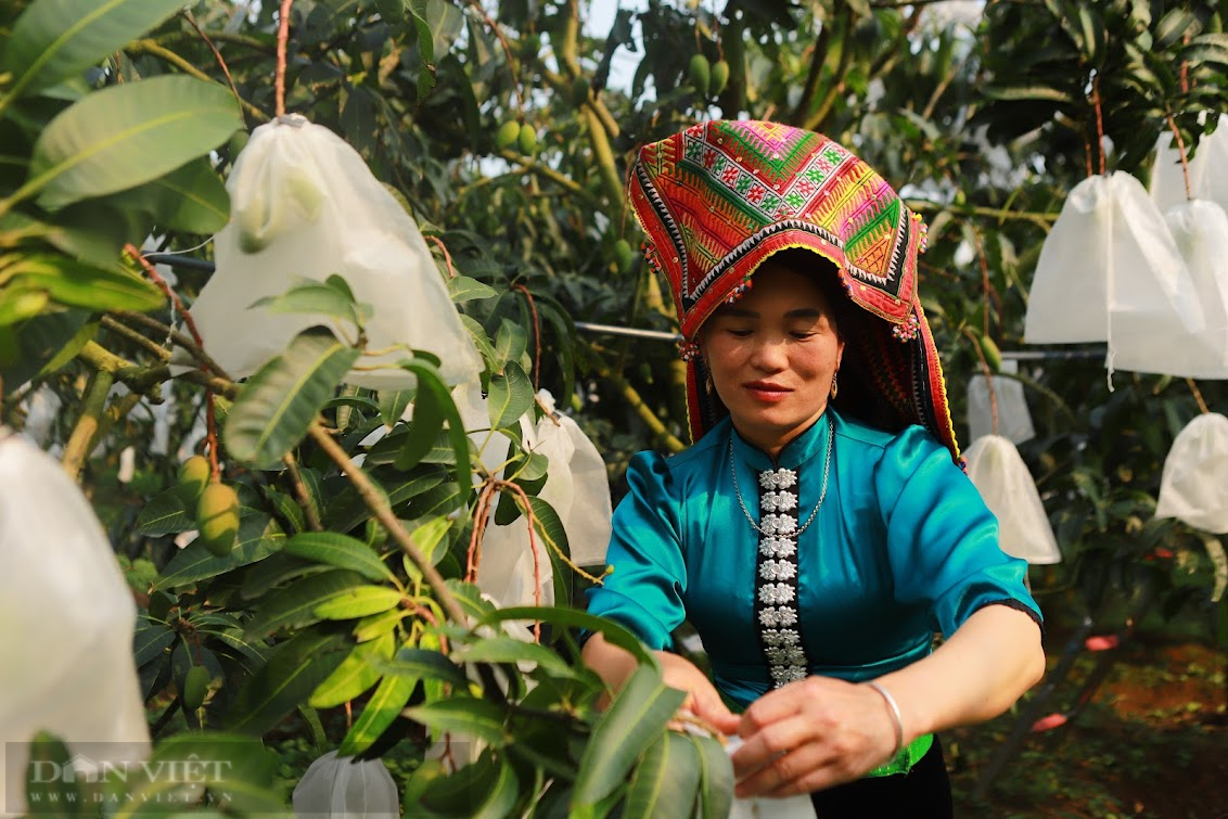 Trước thềm Hội nghị Thủ tướng Chính phủ đối thoại với nông dân năm 2022: Kỳ vọng tháo gỡ nhiều khó khăn cho nông dân - Ảnh 4.