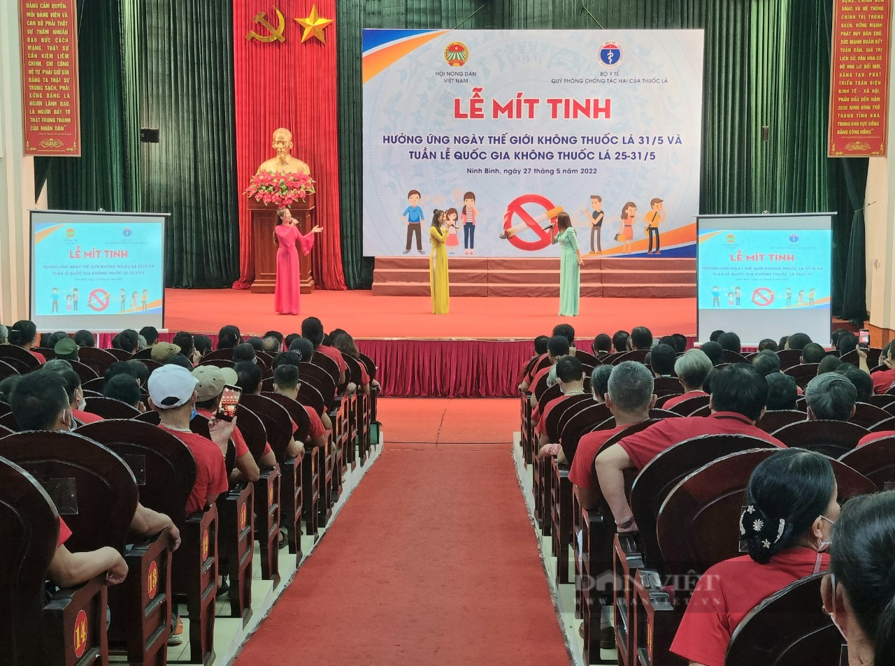 Ninh Bình: Hưởng ứng ngày thế giới không thuốc lá và tuần lễ quốc gia không thuốc lá - Ảnh 2.