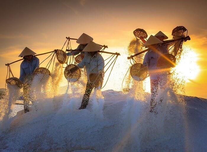 Đồng muối Đầm Vua - Ảnh 2.