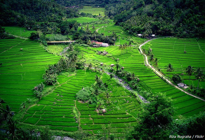 Những hòn đảo đẹp  - Ảnh 4.