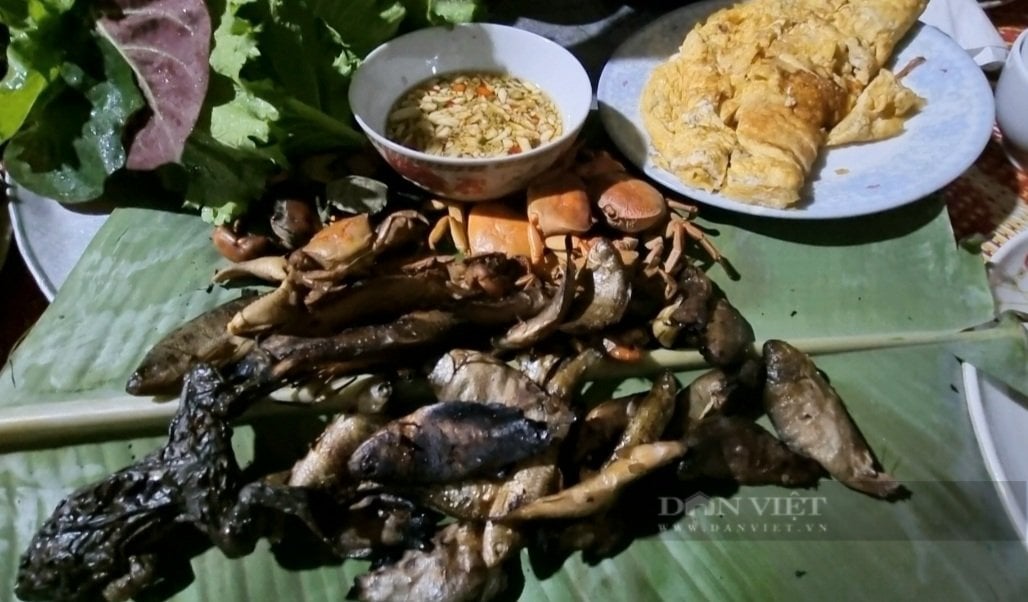 Cuộc sống những người bảo vệ rừng Khe Bu tại Thanh Hóa - Ảnh 10.
