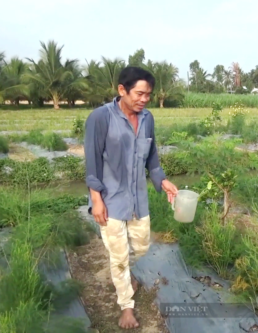 Trồng rau &quot;hoàng đế” háo nước trên vùng khô hạn, tưởng thất sách bất ngờ anh nông dân thu bộn tiền  - Ảnh 4.