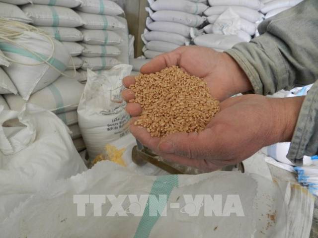 Nông nghiệp Colombia 'điêu đứng' vì các lệnh trừng phạt Nga - Ảnh 1. Nông nghiệp Colombia 'điêu đứng' vì các lệnh trừng phạt Nga - Ảnh 1.