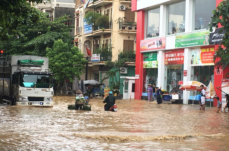 Chấp thuận cho tỉnh Thái Bình chuyển hơn 33 ha đất trồng lúa để thực hiện dự án đường - Ảnh 2. Chấp thuận cho tỉnh Thái Bình chuyển hơn 33 ha đất trồng lúa để thực hiện dự án đường - Ảnh 2.