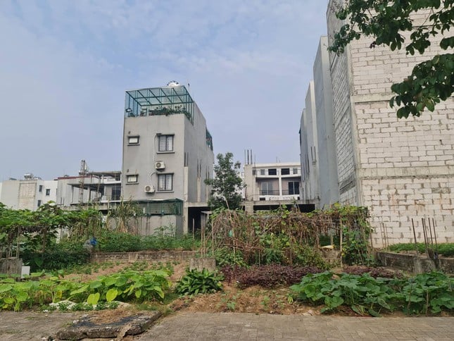 Một doanh nghiệp nợ gần 350 tỷ đồng tiền thuế tại Hà Nội - Ảnh 2. Một doanh nghiệp nợ gần 350 tỷ đồng tiền thuế tại Hà Nội - Ảnh 2.