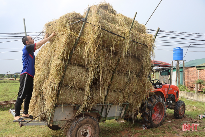 Giá bò hơi giảm sâu, người chăn nuôi Hà Tĩnh đối mặt thua lỗ - Ảnh 2.