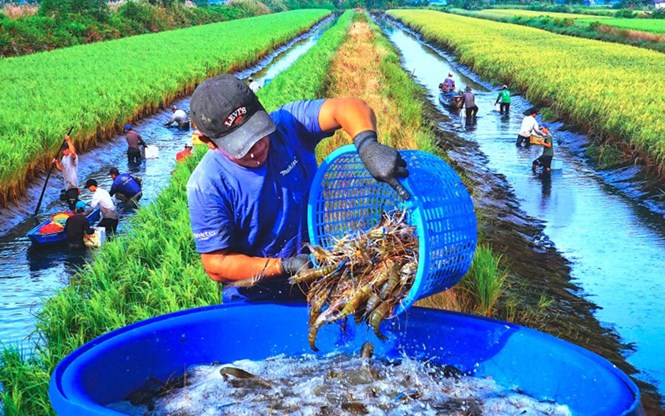 Kinh tế tuần hoàn thúc đẩy phát triển kinh tế bền vững, hài hòa với bảo vệ môi trường - Ảnh 3.