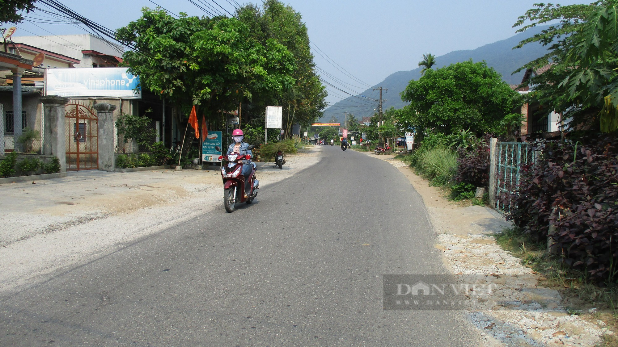 Phát huy lợi thế kinh tế vườn - rừng, Quế Sơn hướng đến huyện nông thôn mới - Ảnh 3.