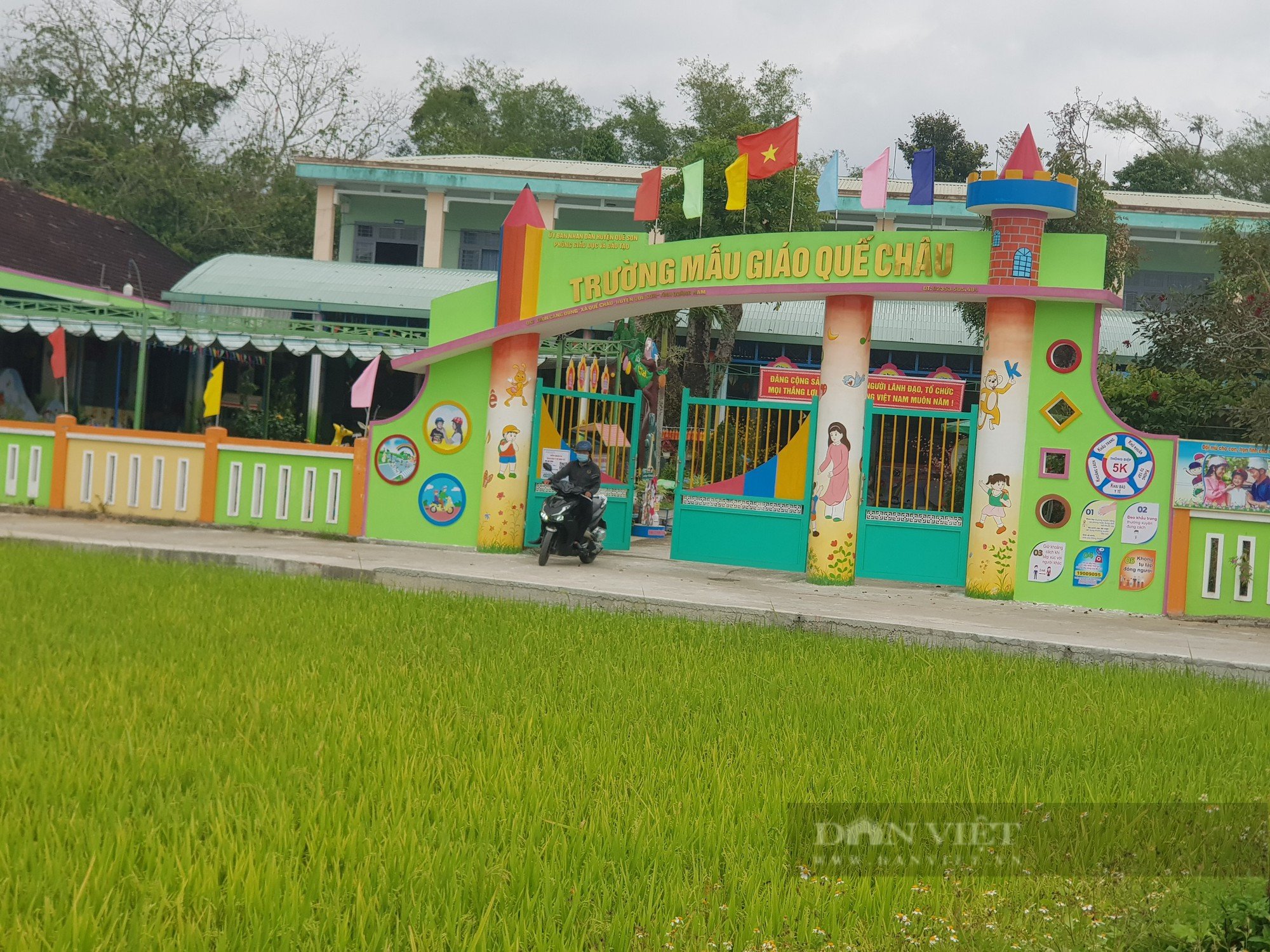Phát huy lợi thế kinh tế vườn - rừng, Quế Sơn hướng đến huyện nông thôn mới - Ảnh 2.