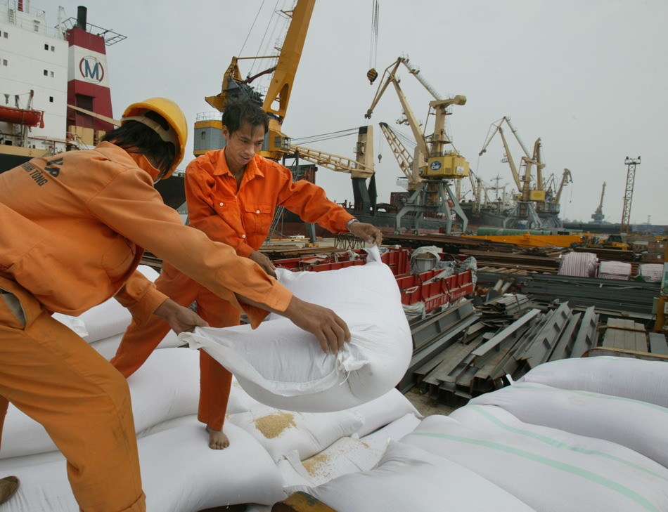 Xuất khẩu nông lâm, thủy sản tăng trưởng tốt, gạo là điểm sáng ở thị trường ASEAN - Ảnh 4.