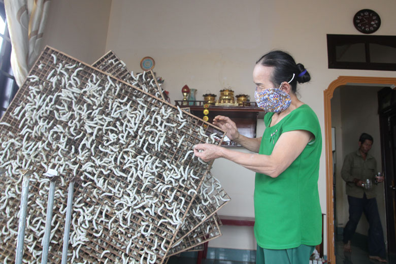 Chỉ nuôi &quot;bầy sâu&quot; trên giàn, ăn lá như ranh này mà anh nông dân Lâm Đồng thu tiền tỷ - Ảnh 1.