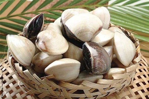Cách chọn ngao mập, chắc thịt và mẹo để ngao nhả sạch cát trước khi nấu - Ảnh 1.