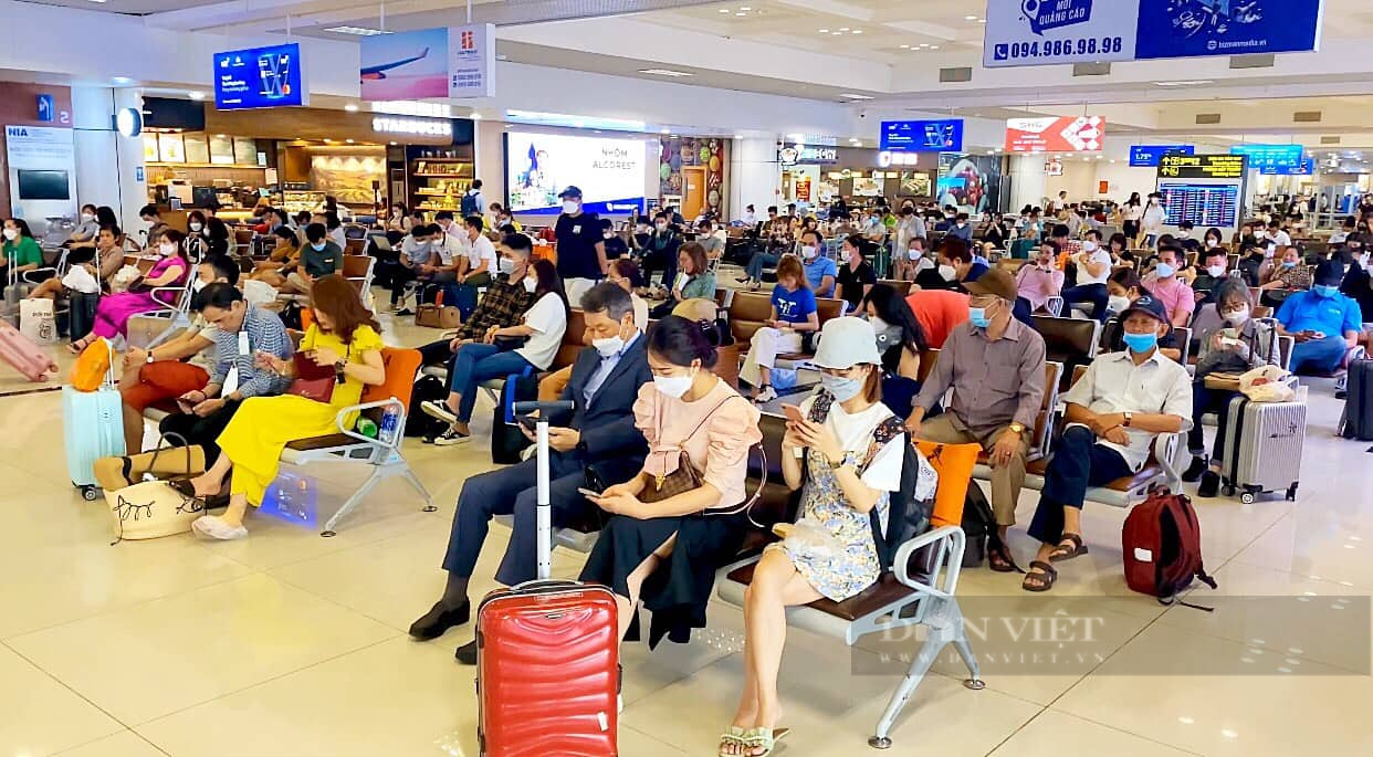 Cục Hàng không đề xuất hỗ trợ các hãng hàng không vượt qua khó khăn - Ảnh 2. Cục Hàng không đề xuất hỗ trợ các hãng hàng không vượt qua khó khăn - Ảnh 2.