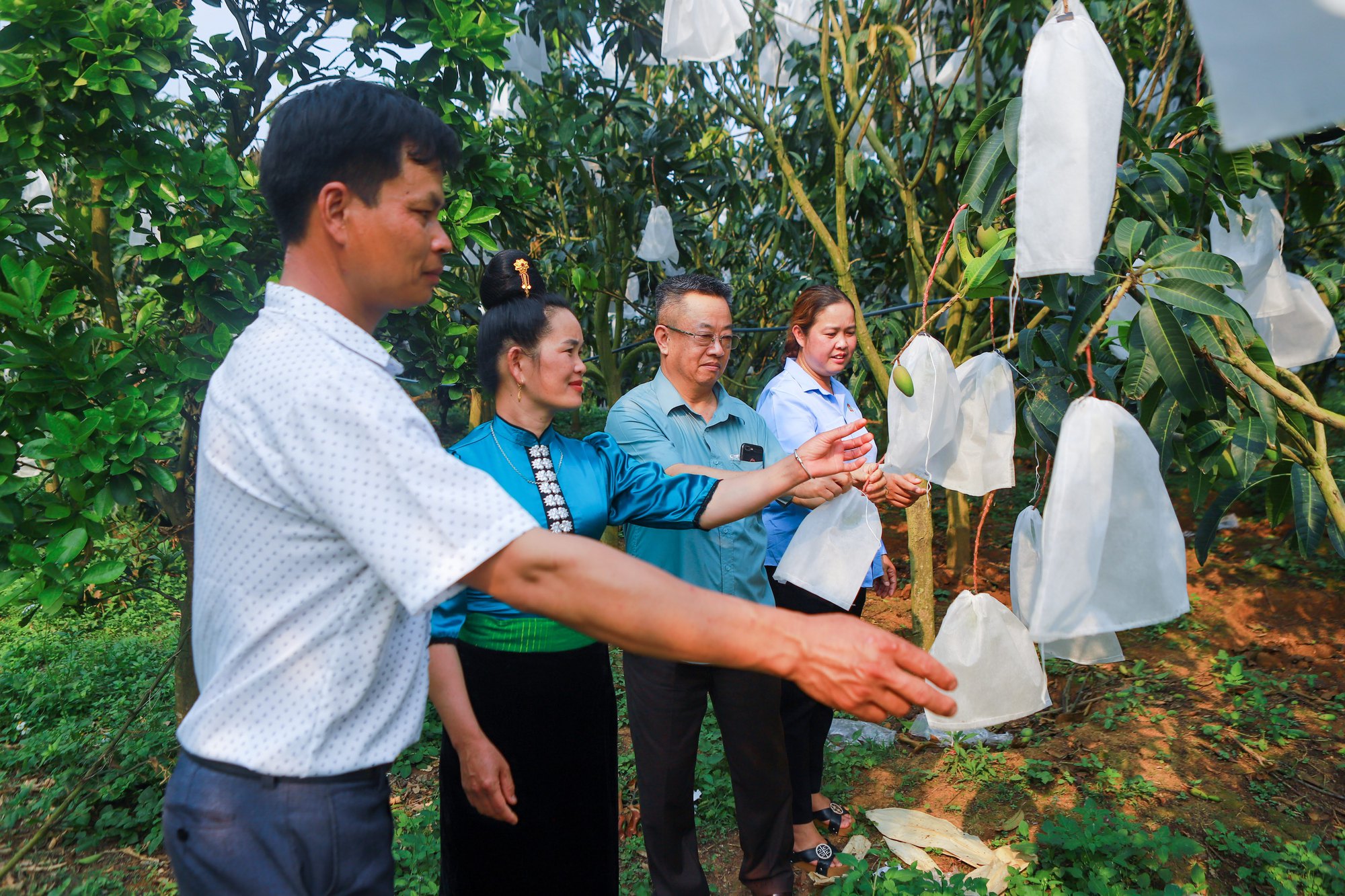 PGS.TS Đào Thế Anh: Cần quyết sách nhanh cho các vấn đề tam nông ở Hội nghị Thủ tướng đối thoại với nông dân - Ảnh 2.