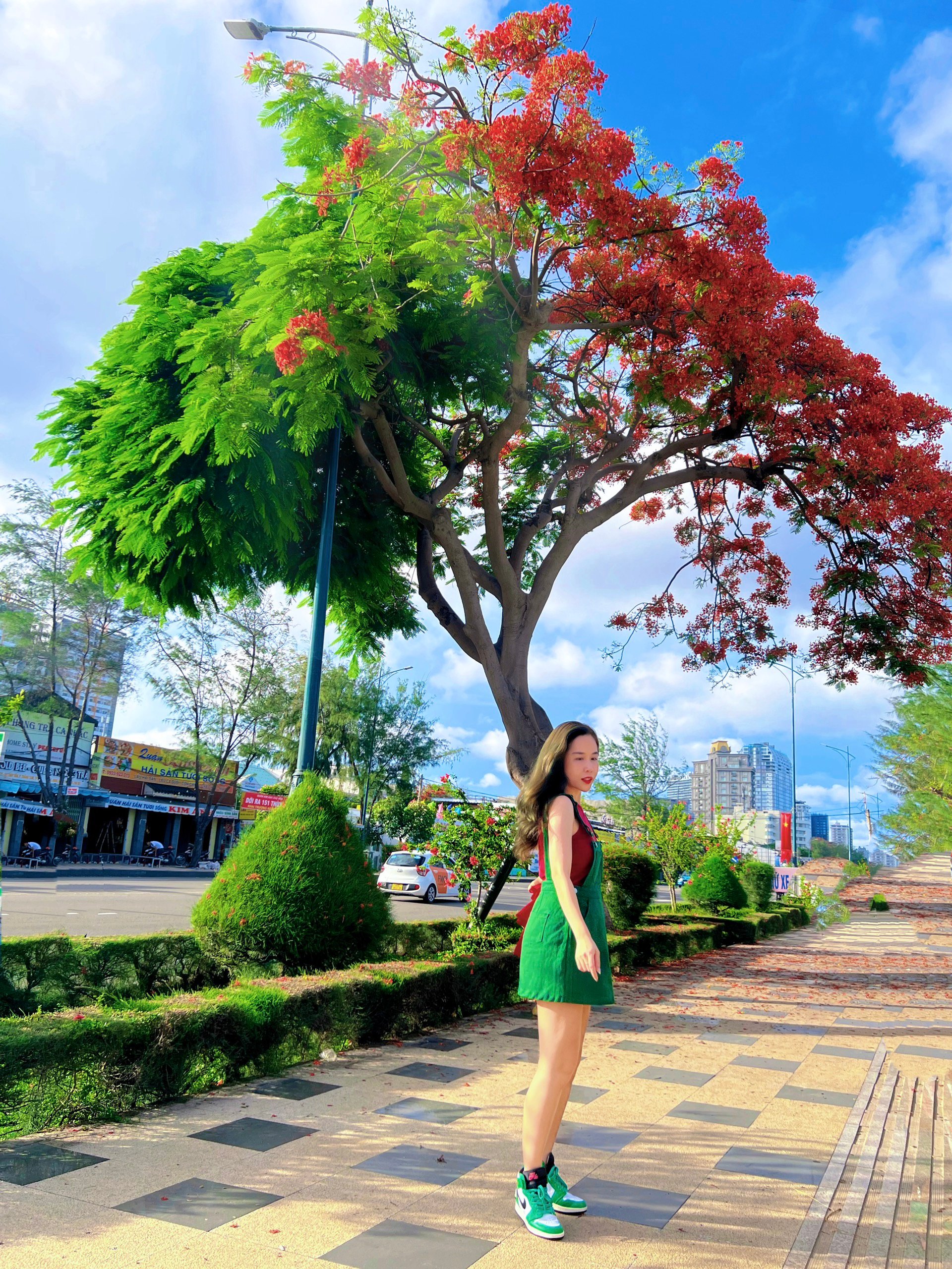 Vũng Tàu: Giới trẻ xếp hàng dài chờ &quot;sống ảo&quot; với cây hoa phượng độc đáo nửa đỏ, nửa xanh - Ảnh 1.
