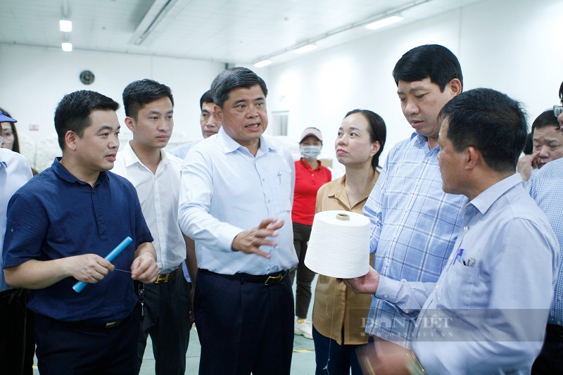 Hội thảo phát triển sản xuất cây gai xanh làm nguyên liệu chế biến sợi phục vụ ngành dệt may - Ảnh 2.