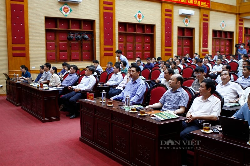 Hội thảo phát triển sản xuất cây gai xanh làm nguyên liệu chế biến sợi phục vụ ngành dệt may - Ảnh 3.