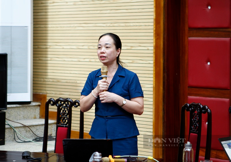Hội thảo phát triển sản xuất cây gai xanh làm nguyên liệu chế biến sợi phục vụ ngành dệt may - Ảnh 4.