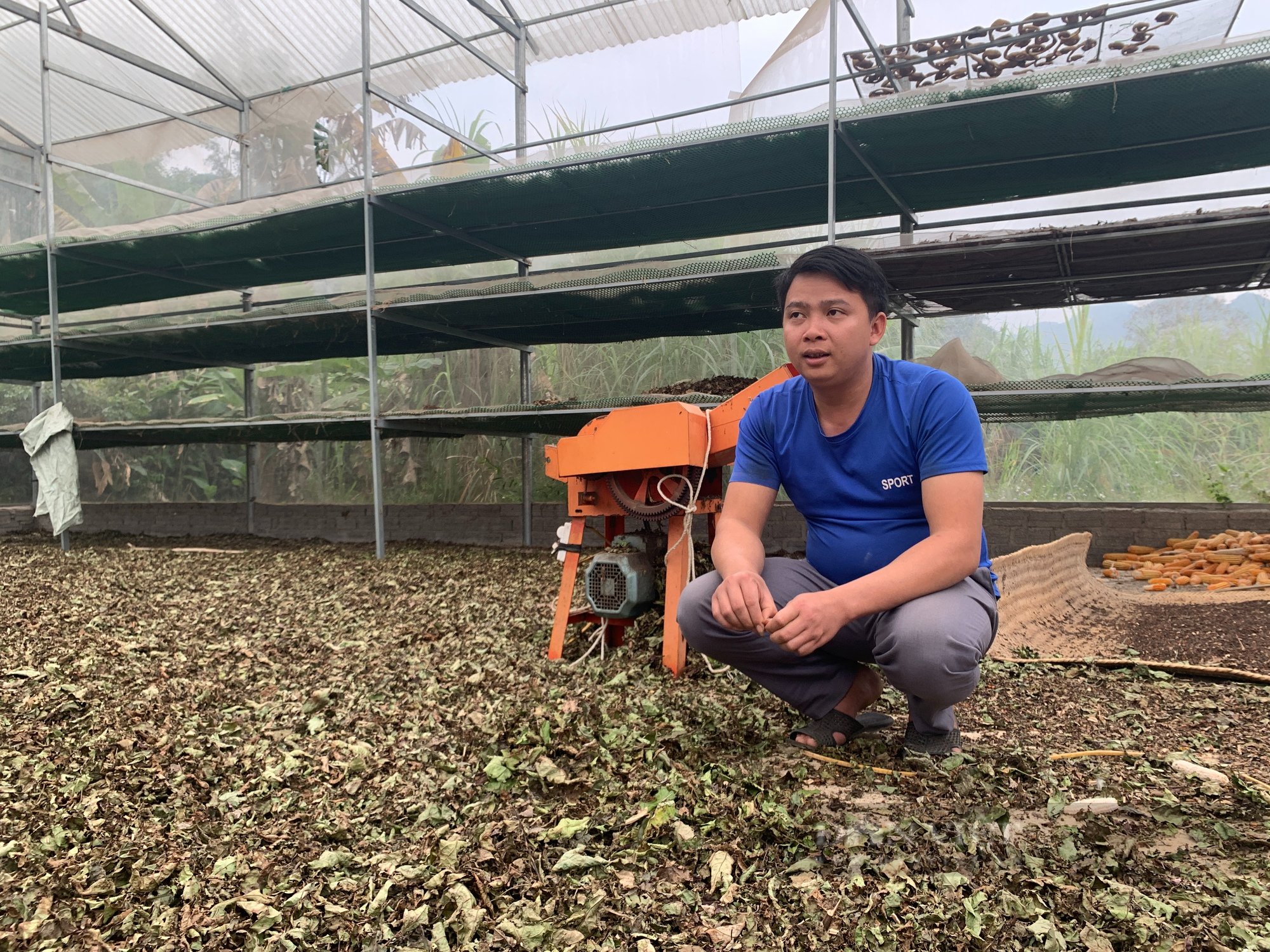 Bắc Kạn: Mạnh dạn vay vốn trồng cây dược liệu, nông dân biến ruộng cằn thành &quot;gà đẻ trứng vàng&quot; - Ảnh 4.