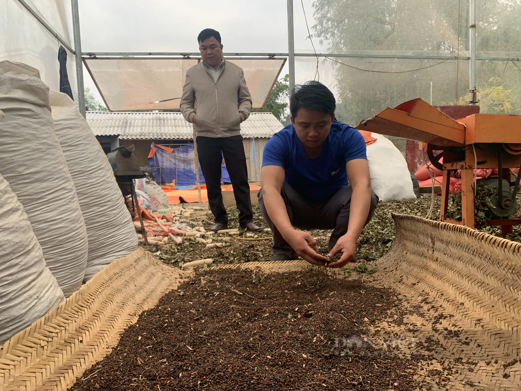 Bắc Kạn: Mạnh dạn vay vốn trồng cây dược liệu, nông dân biến ruộng cằn thành &quot;gà đẻ trứng vàng&quot; - Ảnh 3.