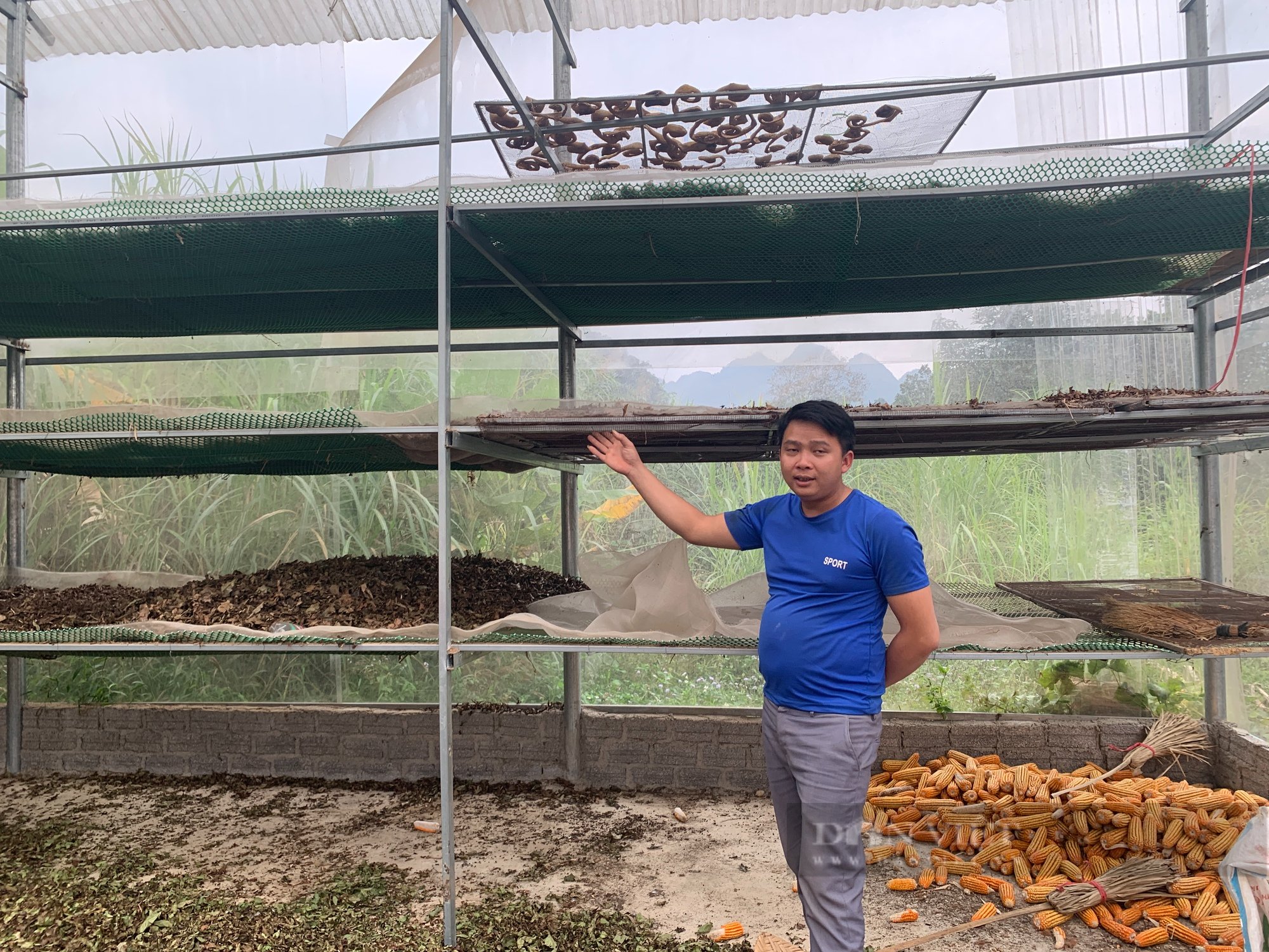 Bắc Kạn: Mạnh dạn vay vốn trồng cây dược liệu, nông dân biến ruộng cằn thành &quot;gà đẻ trứng vàng&quot; - Ảnh 5.