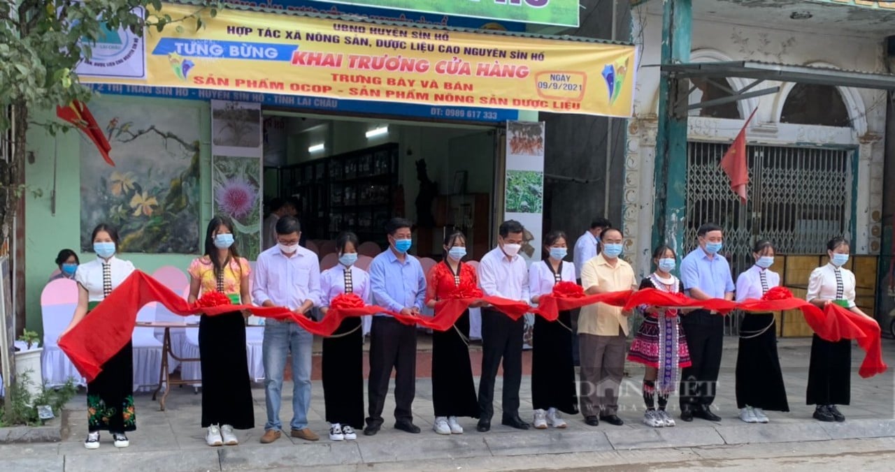 Về thăm Hợp tác xã &quot;công nghệ cao&quot; nổi bật ở miền Bắc - Ảnh 2.