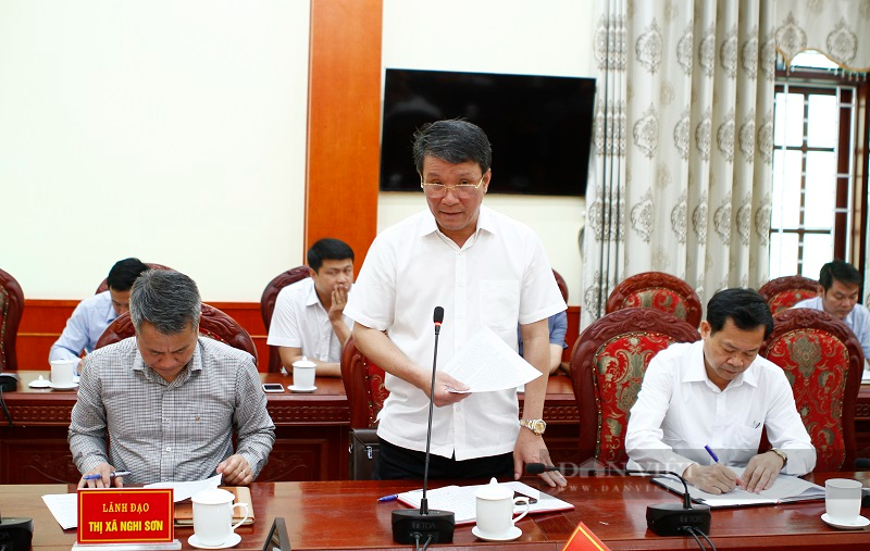 Thị xã Nghi Sơn xây dựng NTM gắn với đô thị hóa và phát triển du lịch bảo đảm môi trường - Ảnh 2.