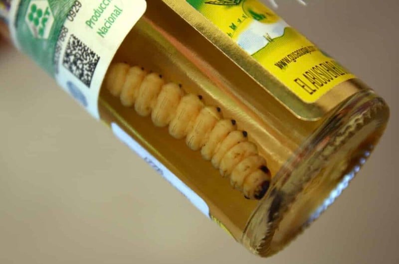 Loại rượu đặc biệt, có nguyên một con sâu bên trong - Ảnh 2.