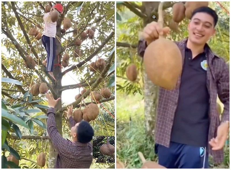 Sầu riêng lạ. vỏ trơn nhẵn không gai - Ảnh 1.